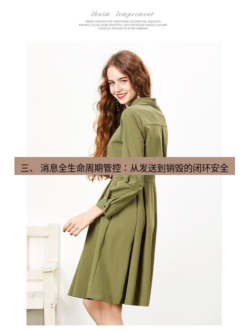 safew 三、 消息全生命周期管控：从发送到销毁的闭环安全