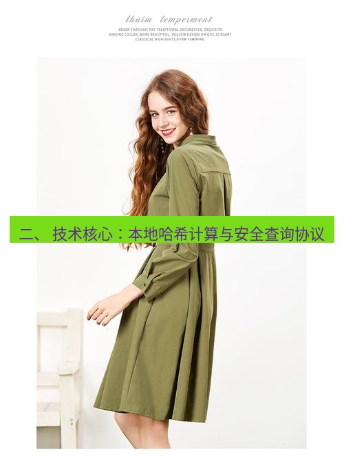 safew 二、 技术核心：本地哈希计算与安全查询协议