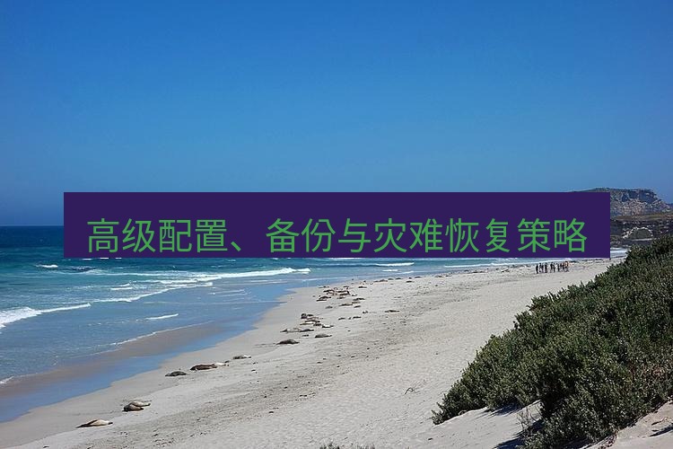 safew 高级配置、备份与灾难恢复策略