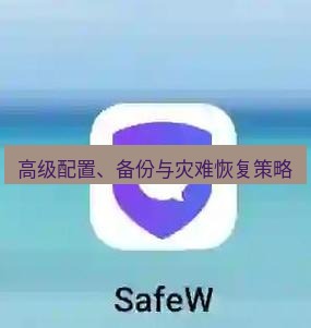 safew下载 高级配置、备份与灾难恢复策略