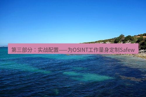 safew 第三部分：实战配置——为OSINT工作量身定制Safew