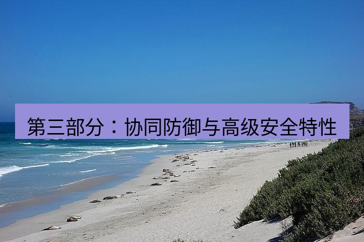 safew 第三部分：协同防御与高级安全特性