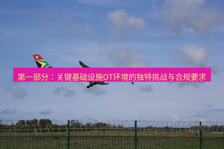 safew下载 第一部分：关键基础设施OT环境的独特挑战与合规要求