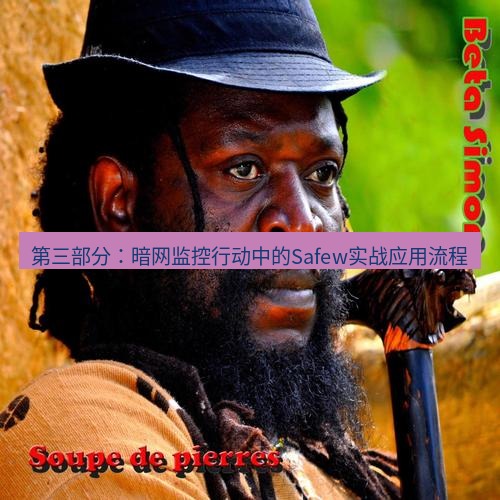 safew下载 第三部分：暗网监控行动中的Safew实战应用流程