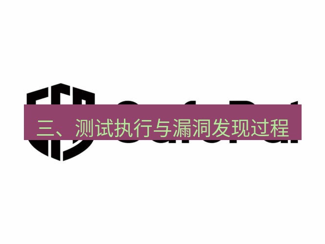safew下载 三、测试执行与漏洞发现过程