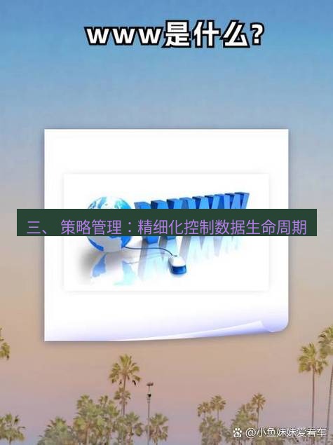 safew下载 三、 策略管理：精细化控制数据生命周期