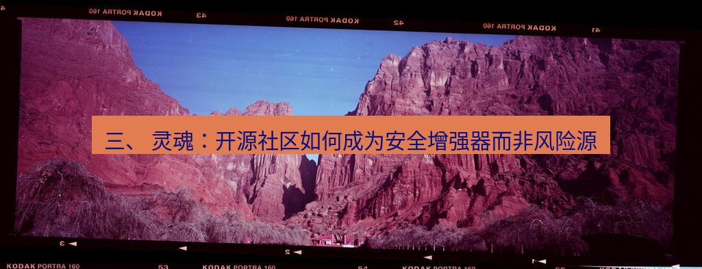 safew下载 三、 灵魂：开源社区如何成为安全增强器而非风险源