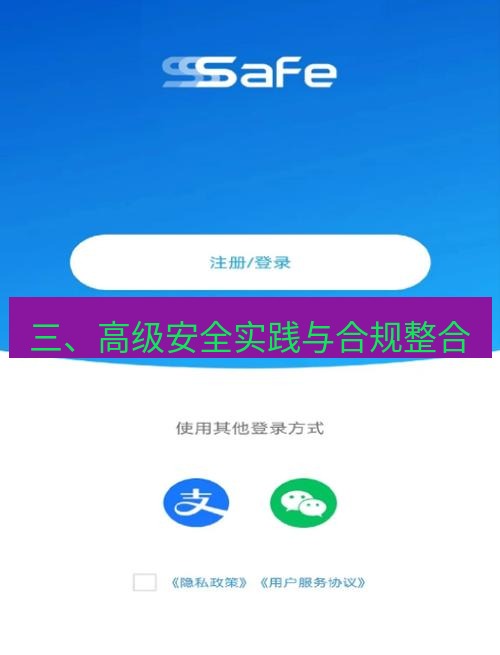 safew下载 三、高级安全实践与合规整合
