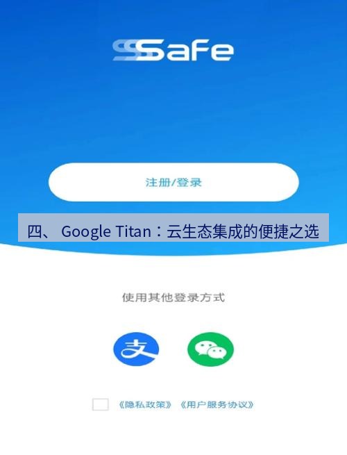 safew下载 四、 Google Titan：云生态集成的便捷之选