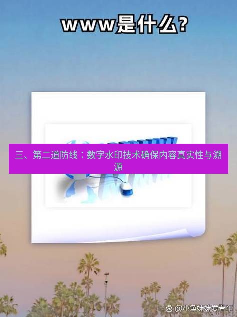 safew下载 三、第二道防线：数字水印技术确保内容真实性与溯源