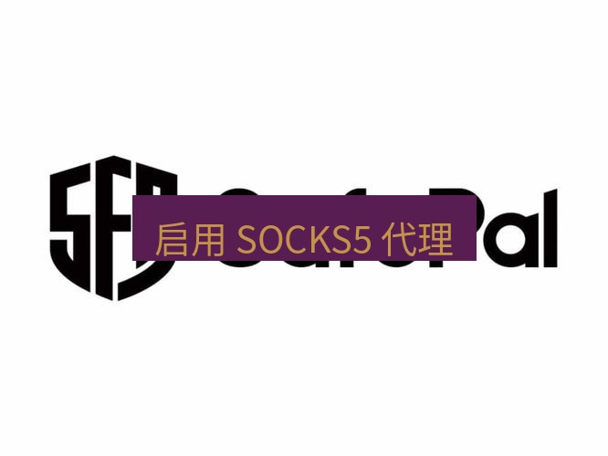 safew下载 启用 SOCKS5 代理