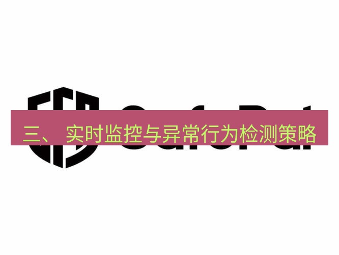 safew下载 三、 实时监控与异常行为检测策略