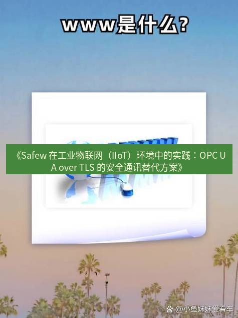safew下载 《Safew 在工业物联网（IIoT）环境中的实践：OPC UA over TLS 的安全通讯替代方案》