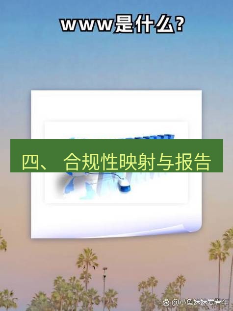 safew下载 四、 合规性映射与报告