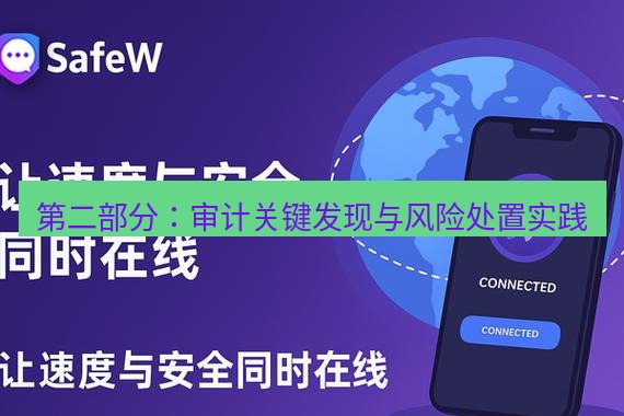 safew下载 第二部分：审计关键发现与风险处置实践