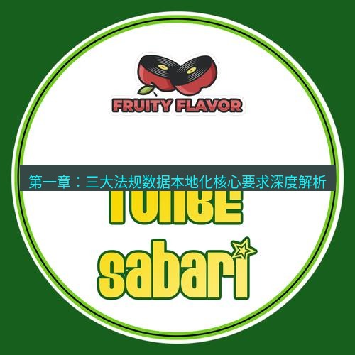 safew下载 第一章：三大法规数据本地化核心要求深度解析