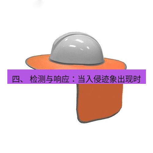 safew下载 四、 检测与响应：当入侵迹象出现时