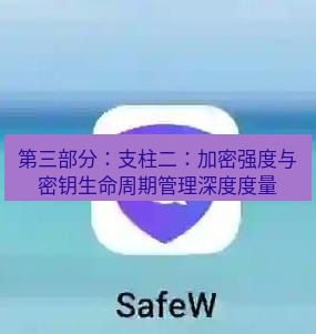 safew下载 第三部分：支柱二：加密强度与密钥生命周期管理深度度量