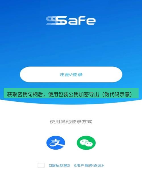 safew下载 获取密钥句柄后，使用包装公钥加密导出（伪代码示意）