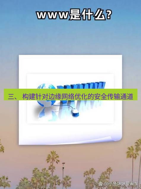 safew下载 三、 构建针对边缘网络优化的安全传输通道