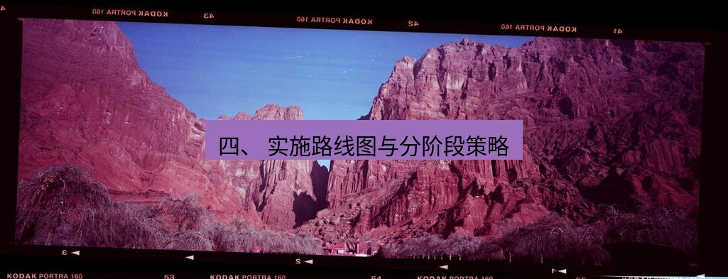 safew下载 四、 实施路线图与分阶段策略