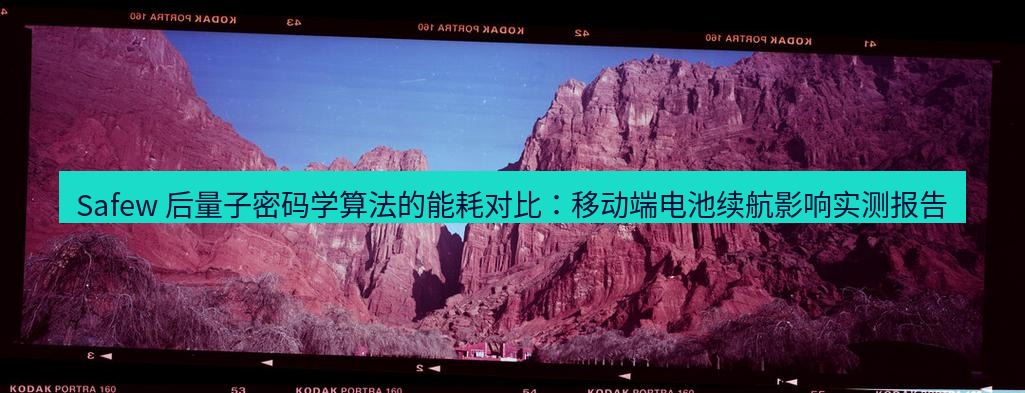 safew下载 Safew 后量子密码学算法的能耗对比：移动端电池续航影响实测报告